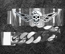PCaAg.jpg