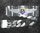 PNV2.webp