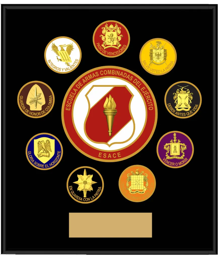 Escudo ESACE 26 x 30 cms.