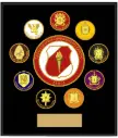 Escudo ESACE 26 x 30 cms.