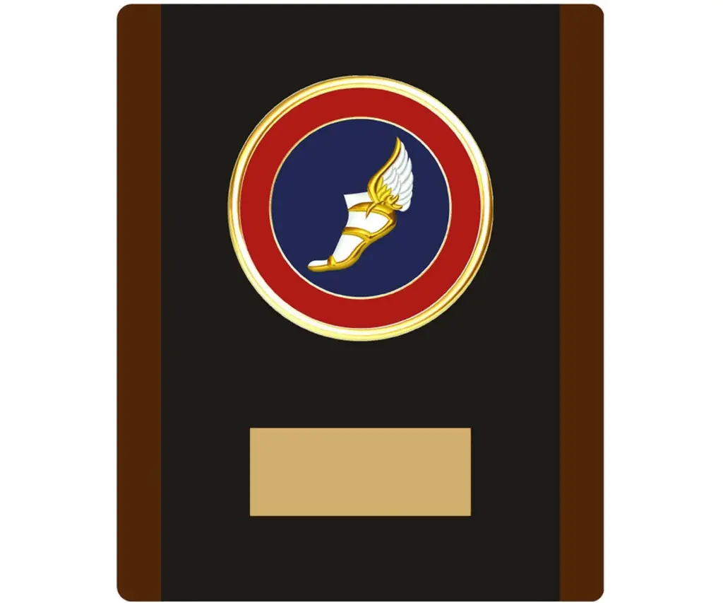 Escudo DAVAA