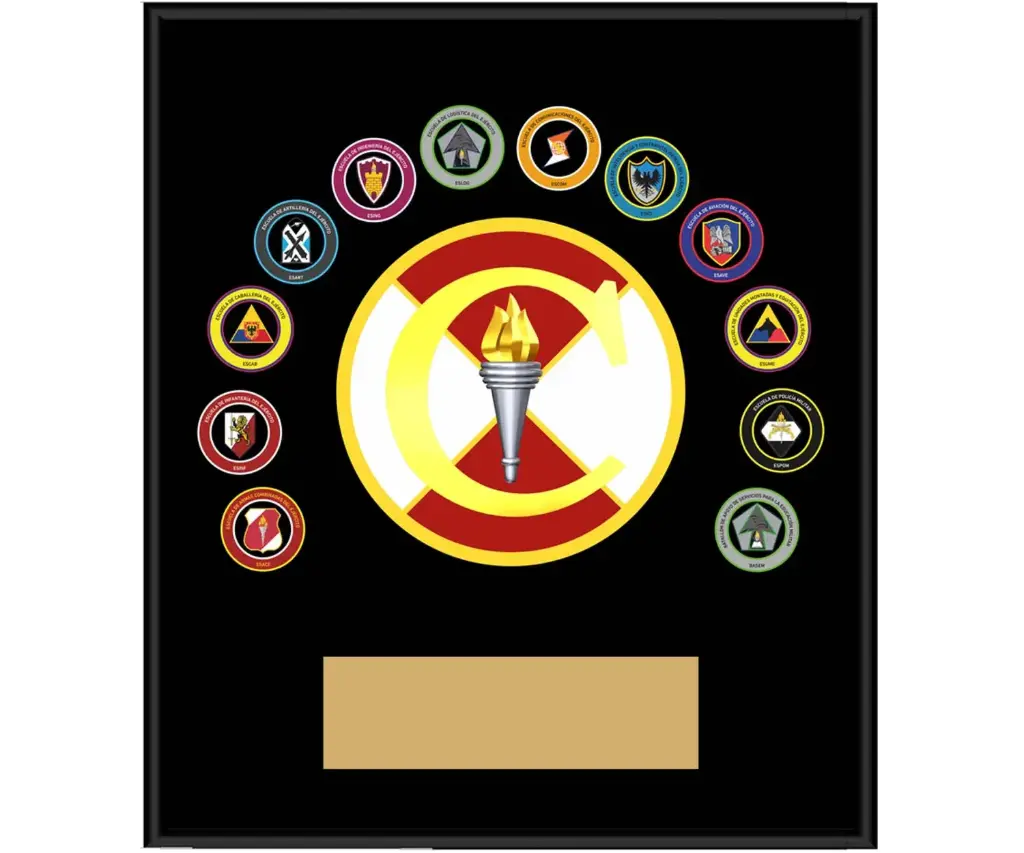 Escudo CIDES 44x40 cms 